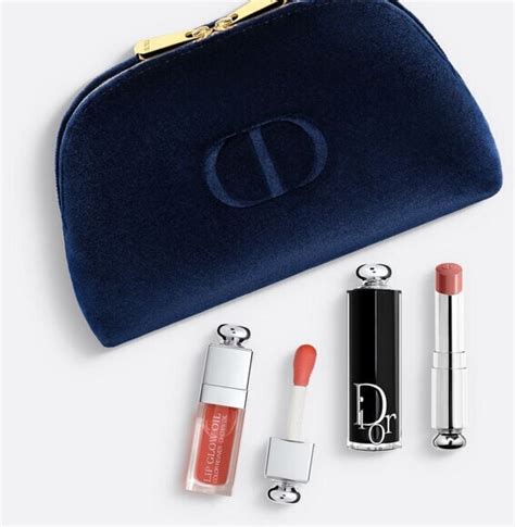 dior addict pouch set